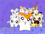 Hamtaro anime wallpaper at animewallpapers.com